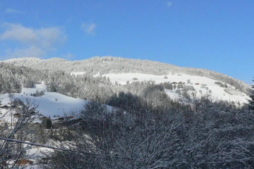 Les Portes de Megève 8 - foto 39