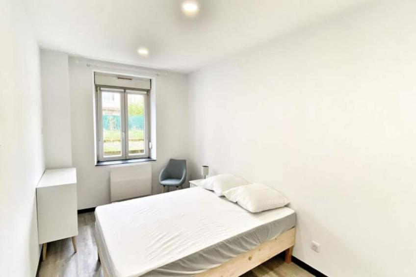 Le Grand Frontalier - foto 19