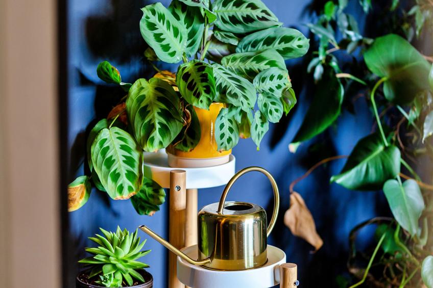 Cresswell House - foto 26