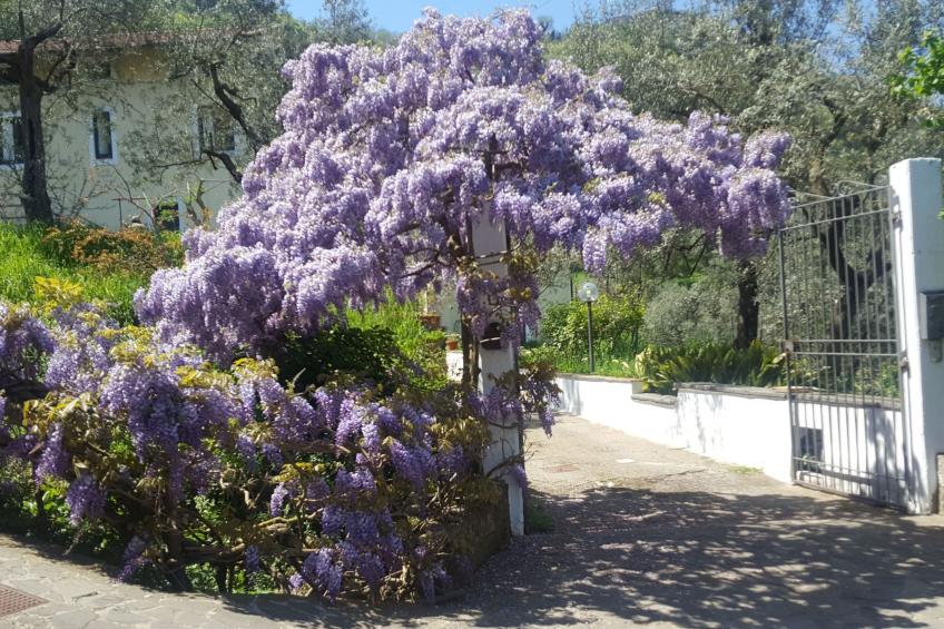 Kleine Wohnung auf einem Bauernhof - foto 12