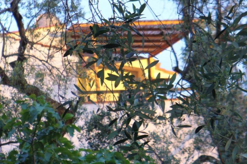 Strandnahe Ferienwohnung mit Garten und Grill - foto 35