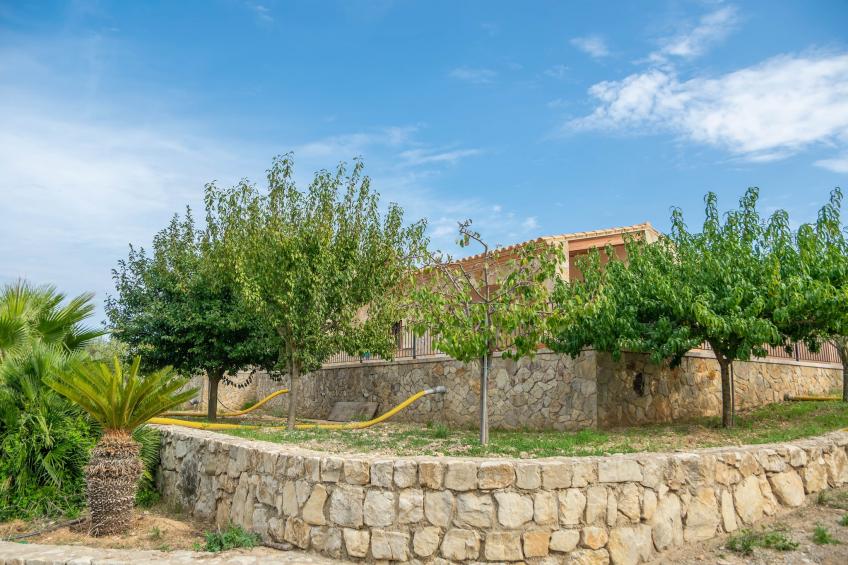 Fetget-can Bosco - foto 30