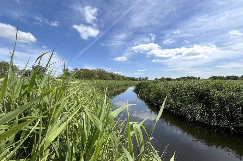 "Holmfridur" - 1.1km from the sea - foto 6