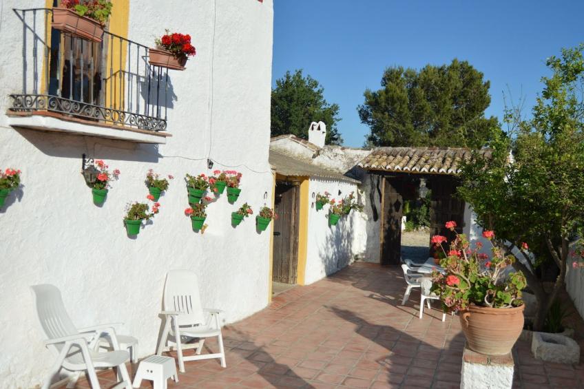 Cortijo Pulgarin Bajo - foto 18