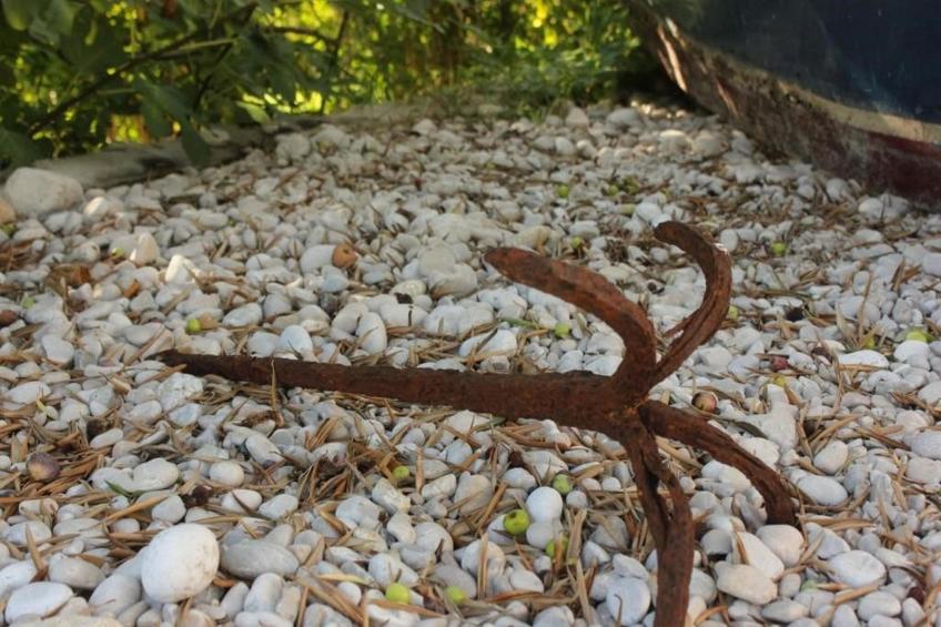 Villa Ro - Ela - Double or Twin Room with Balcony and Sea View - S4 - foto 14