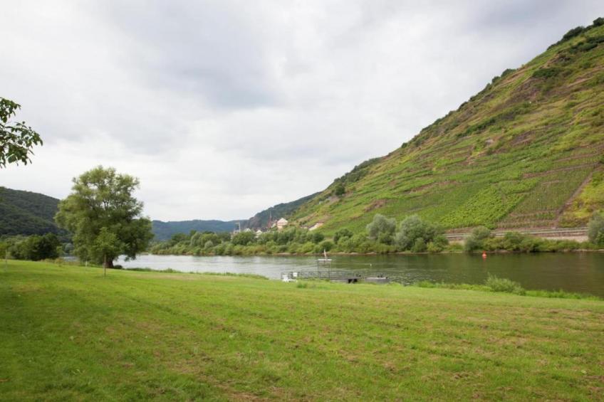 Weingut Hausmann - foto 25