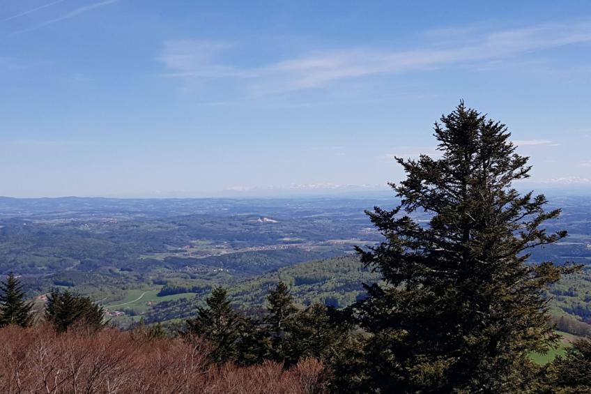 Charmante Wohnung in Langfurth mit Kleinem Balkon - foto 23