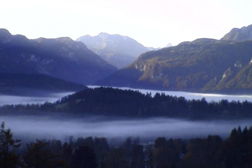 165982 - foto 22