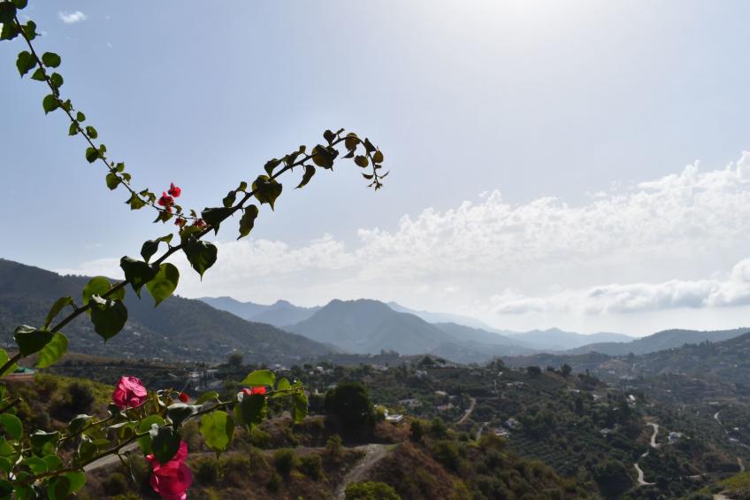 Finca Martina mit Pool in Cómpeta - foto 29