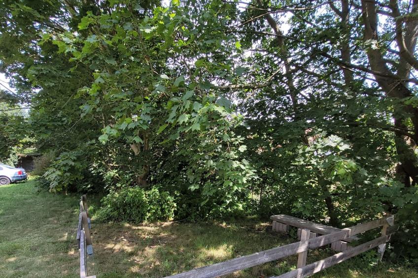 Zweibettzimmer - foto 7