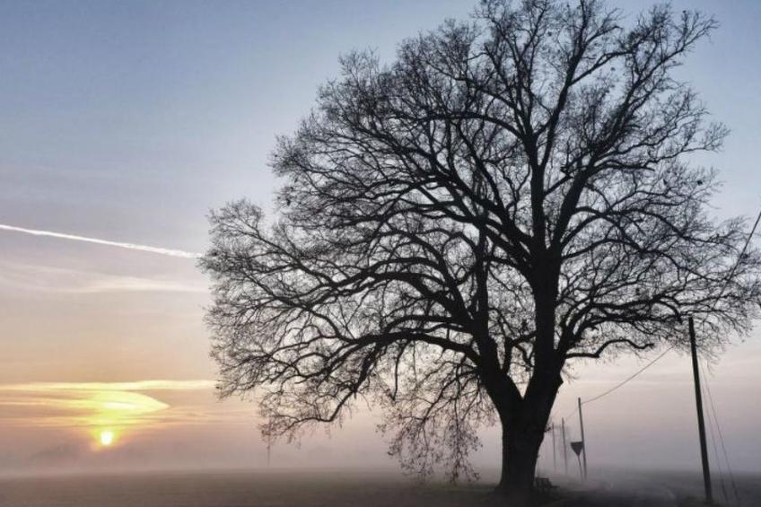 Corte Stellata Wohnung Der Himmel - foto 13