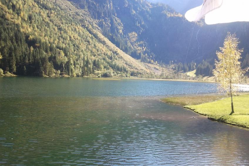 in Pruggern mit Terrasse und Garten - foto 27