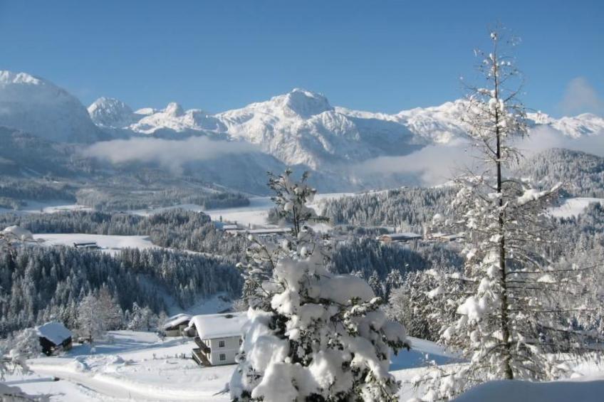 Luxusappartment - foto 47