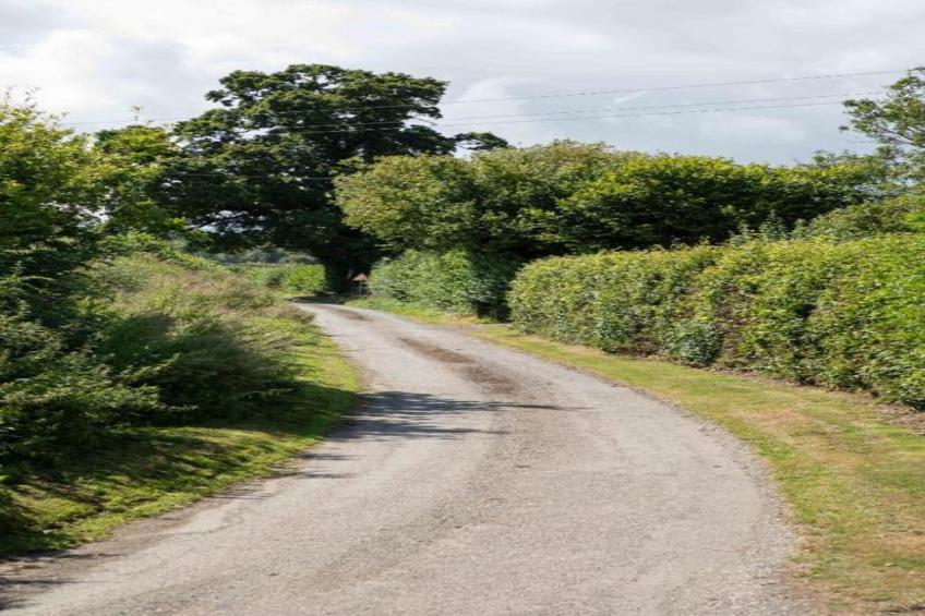 Netley Hall - Rose - foto 19