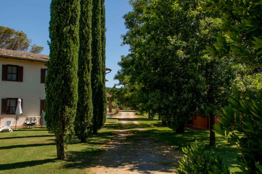 Appartement de vacances avec un grand jardin - BF-VP99B - foto 5