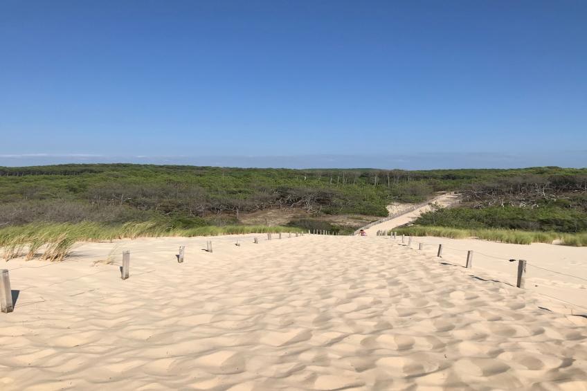 Clos les Pins - foto 39