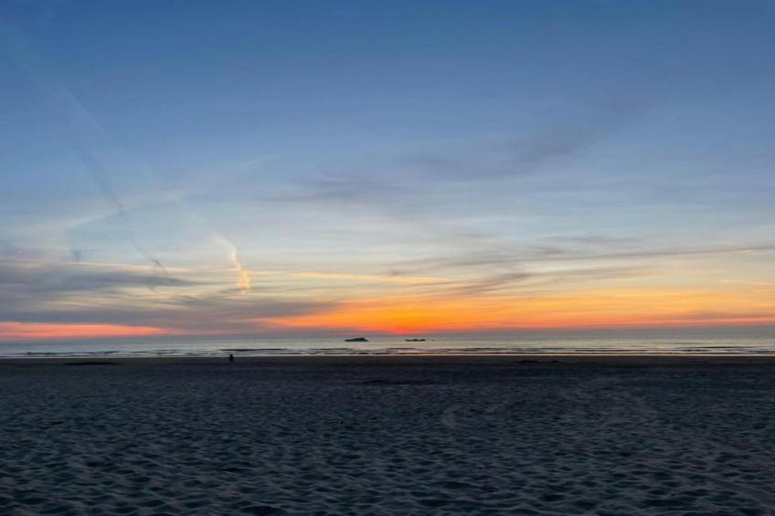 BRUYERES / 1 - foto 35