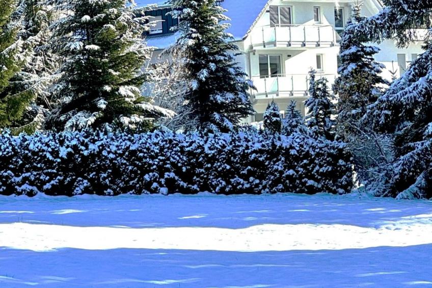 Traumblick - foto 23