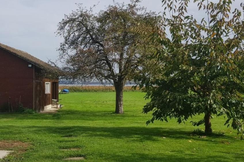 zum Regenbogen in Ermatingen - foto 44