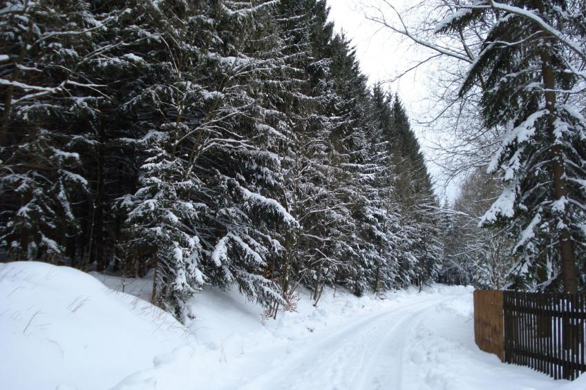 Fewo-Dorfblick - foto 37