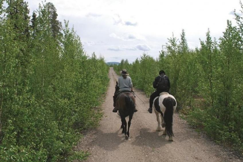 in Sorsele mit Gemeinsamem Garten - foto 9