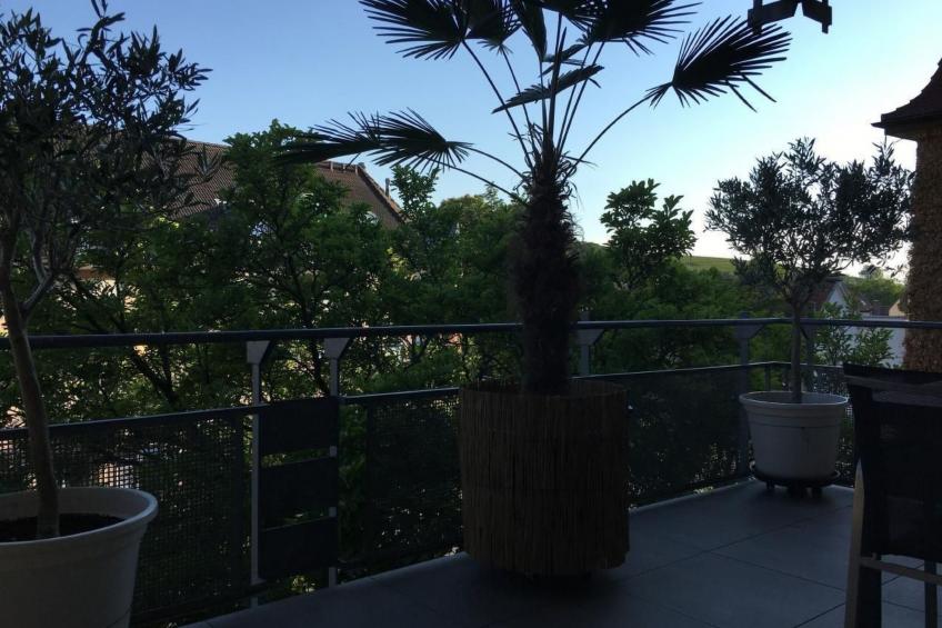 Stadtferienwohnung - foto 4