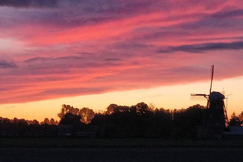 Charmantes Ferienhaus in Gapinge mit Großem Garten - foto 18