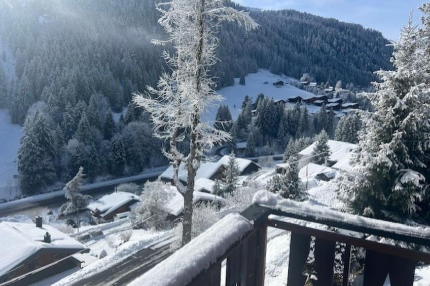 Chalet Violeta, (Morgins), - foto 10