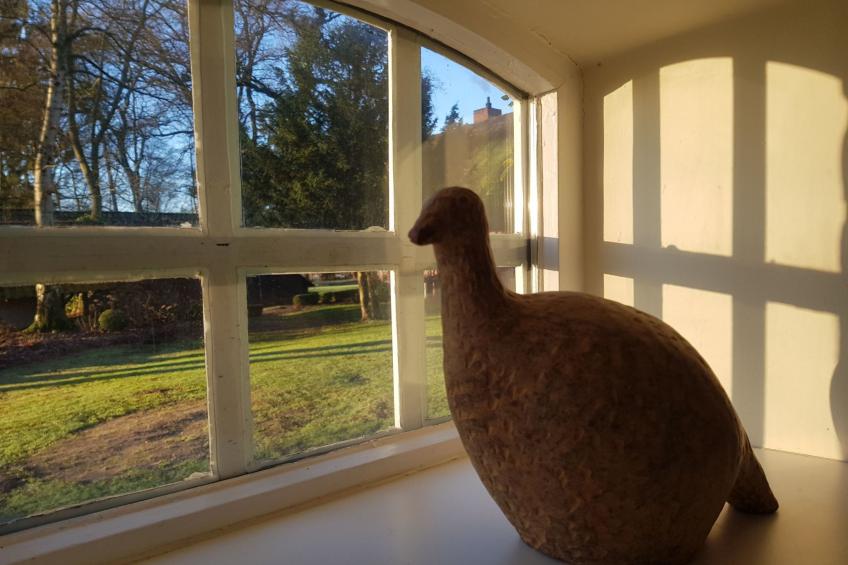 Luxuszeit zu Zweit - foto 11