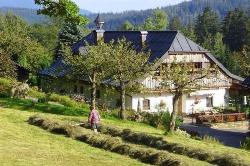 Große Wohnung in Bayerisch Eisenstein - foto 11