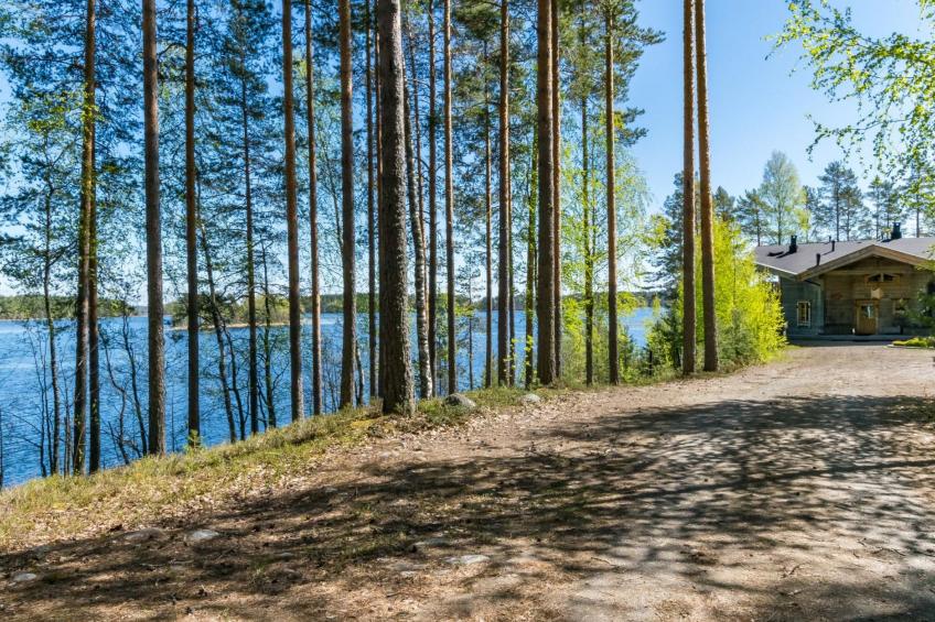 Villa pyöriäinen - foto 13