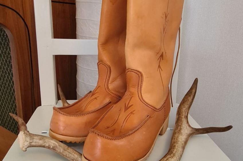 Haus-Lappland - foto 8