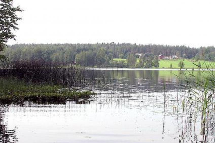 Liisan pirtti - foto 8