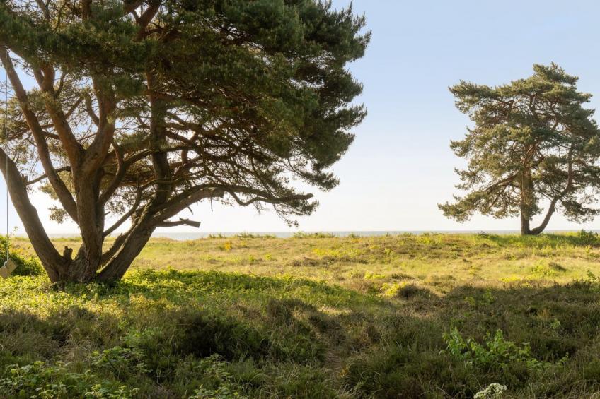 "Toska" - 100m to the inlet in Sealand - foto 15