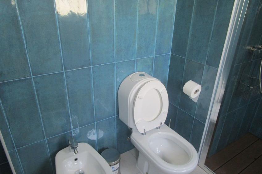 Bauernhof mit privatem Pool in Açores - foto 28