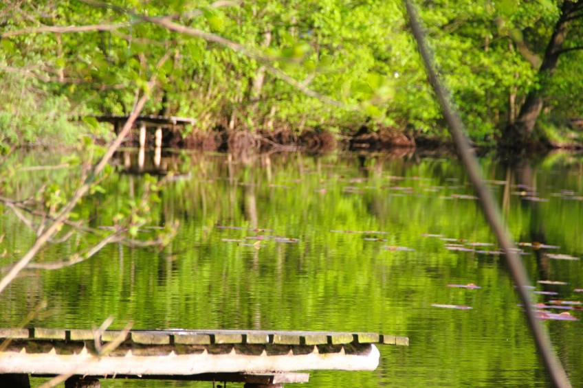 Logements de vacances, Kolczewo - Type A - foto 23