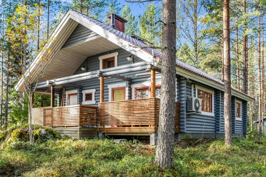 Koli, ulpukka - foto 2