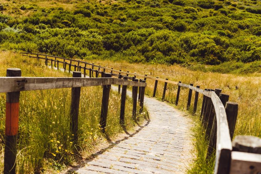 Sea Lodge Ameland - foto 18