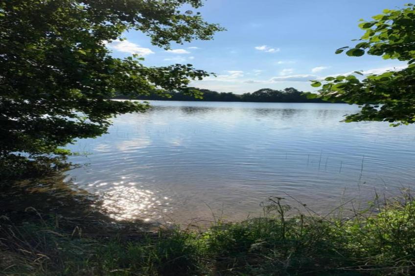 House in the kashubian village - foto 31