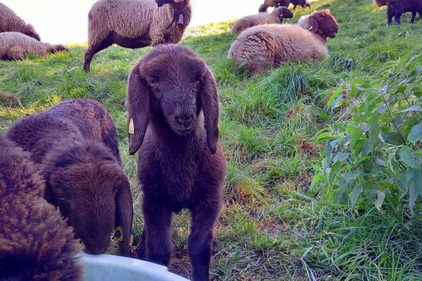 Biohof Langberg - foto 21
