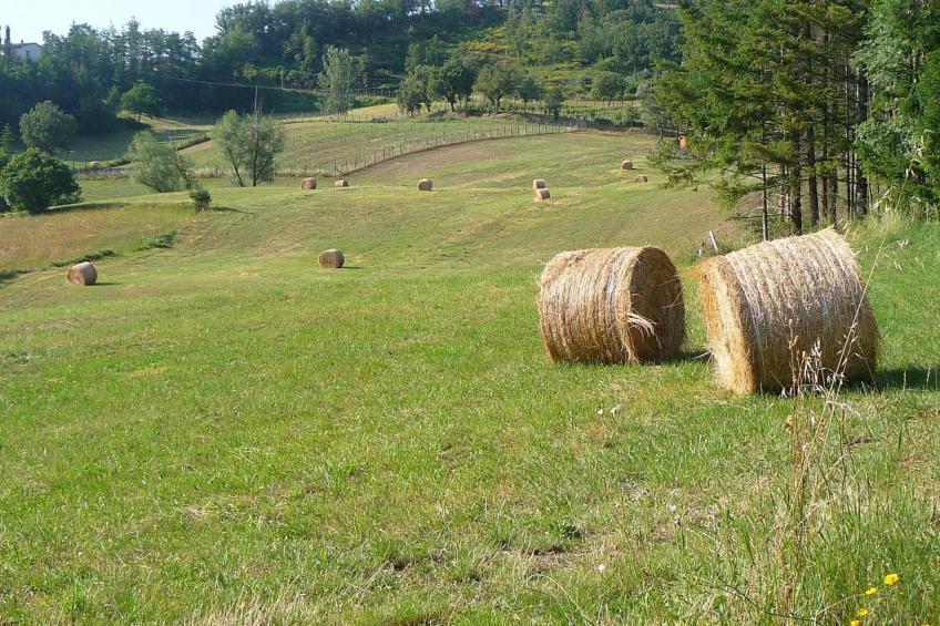 Lindenhaussiedlung mit Gemeinschaftspool - foto 28