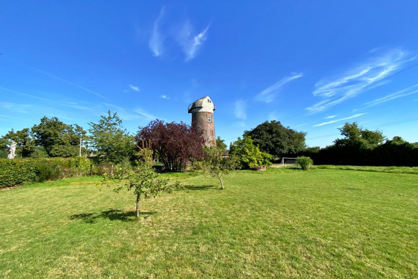The Old Windmill - foto 15