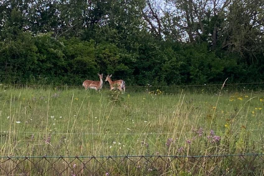Leuchtturm - foto 12