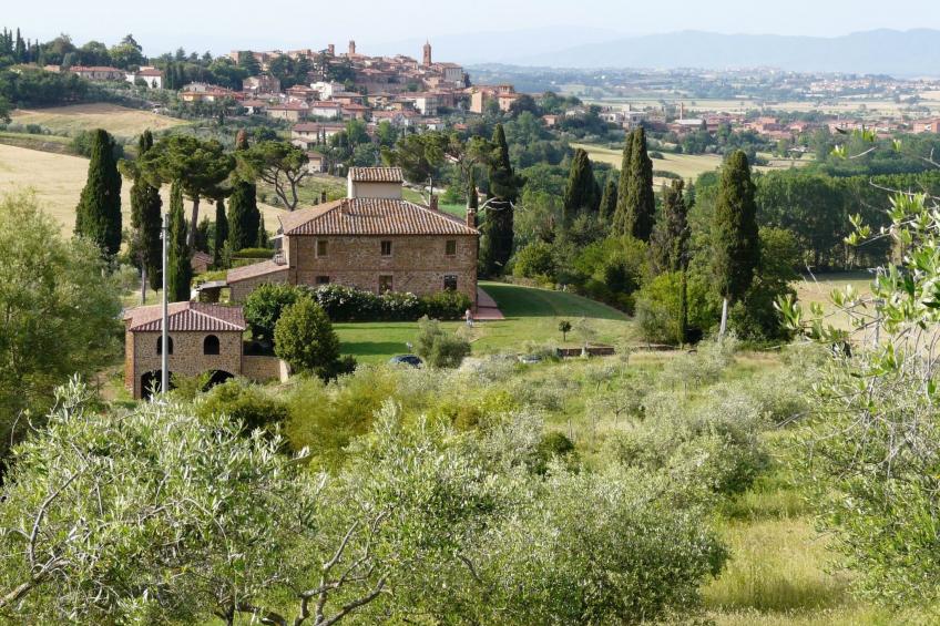 "Lavanda castellett - foto 28