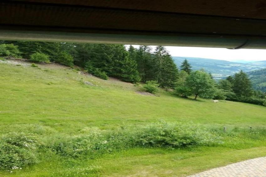 The Austrian Chalet - foto 36