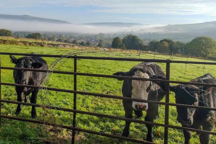 Westcote Cottage - foto 24