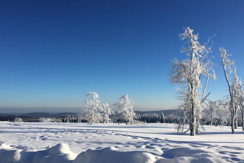 1 SZ/ 6 P Winterberg Appartments -21090 - foto 26