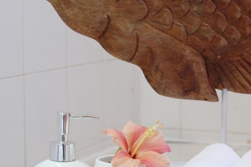 Rustikales, erschwingliches Sommerhaus in Strandnähe - foto 51