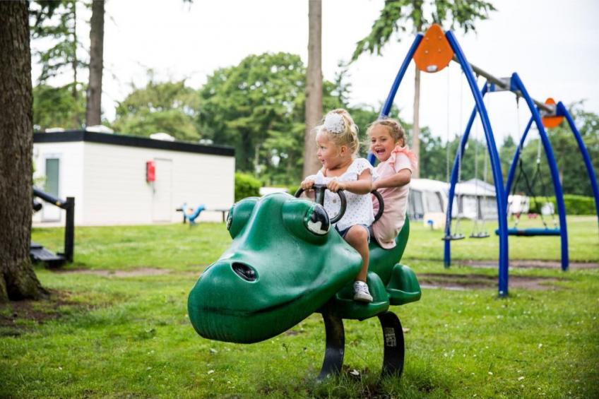 Veluwehoeve 4 personen - foto 25