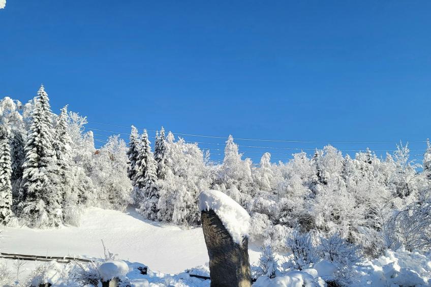 Appartementhaus Tauernfenster, Neukirchen - Typ B - foto 25